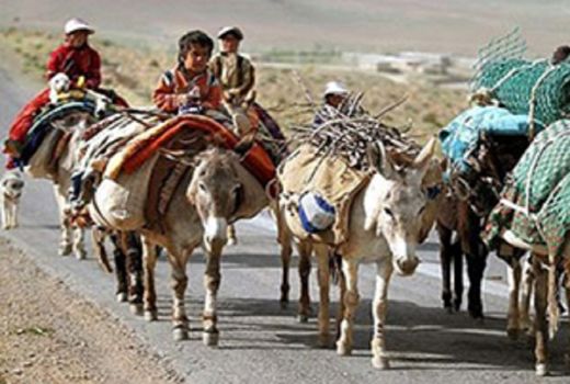 احتمال تاخیر ۱۵ روزه در کوچ عشایر استان اصفهان