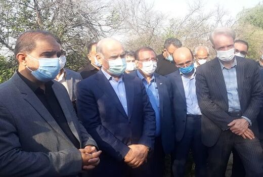 امکان احیای باغ‌های مرکبات از طریق تسهیلات بانکی