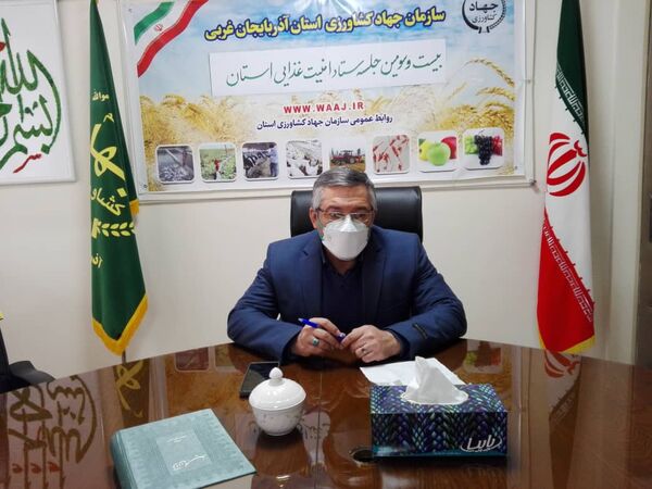 استفاده از  ظرفیت مباشرین برای توزیع هوشمند کالاهای اساسی 