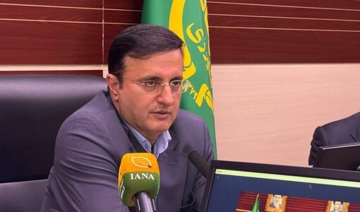 هماهنگی تولید و بازرگانی، شرط حفظ ثبات بازار محصولات دامی