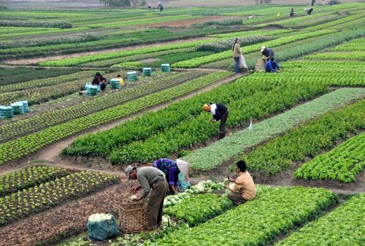 کشاورزی در فراسوی مرزهای جغرافیایی