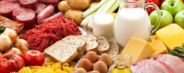 آیا انسان می‌تواند با خوردن تنها یک نوع غذا زنده بماند؟