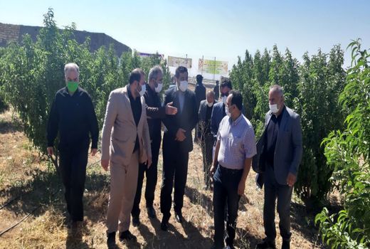 یک طرح آب و خاک در شهرستان تاکستان افتتاح شد