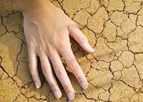فرسایش خاک چه هزینه‌ای دارد؟