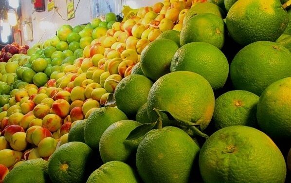امسال 400 هزار تن مرکبات تولید می‌شود