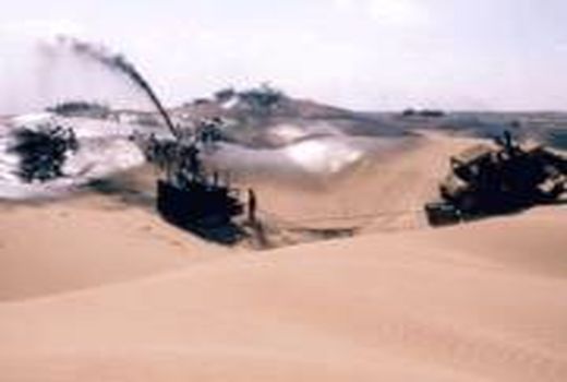 1275 هکتار پروژه‌های بیابان‌زدایی در شهرستان میامی اجرا شد