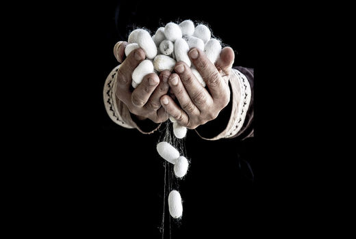 تلاش زنان در نوغانداری دیگر صنایع روستا را هم فعال می‌کند