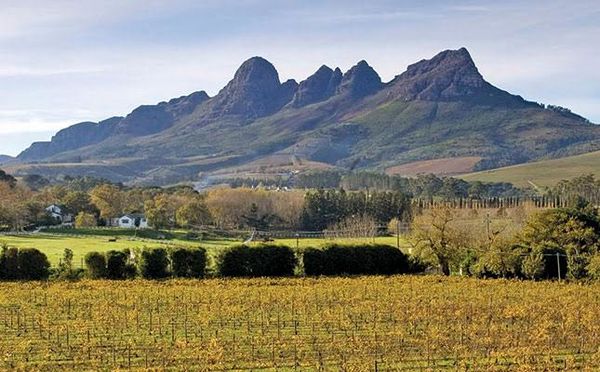 گردشگری کشاورزی در کشور دنبال می‌شود