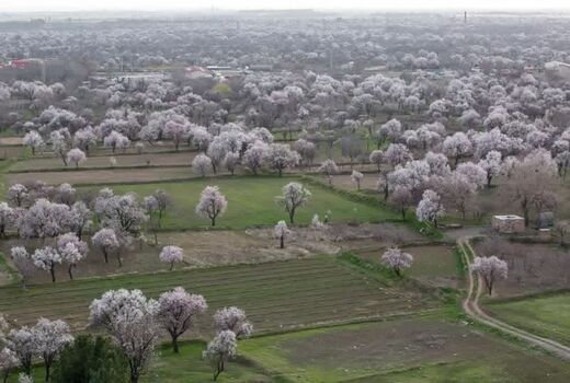 باغستان سنتی قزوین در نظام میراث جهانی ثبت شد