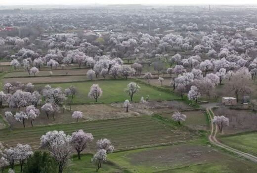 باغستان سنتی قزوین در نظام میراث جهانی ثبت شد