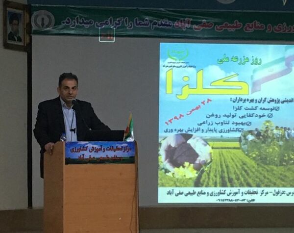 تعادل زراعی و افزایش تولید روغن ارمغان کشت کلزا در خوزستان