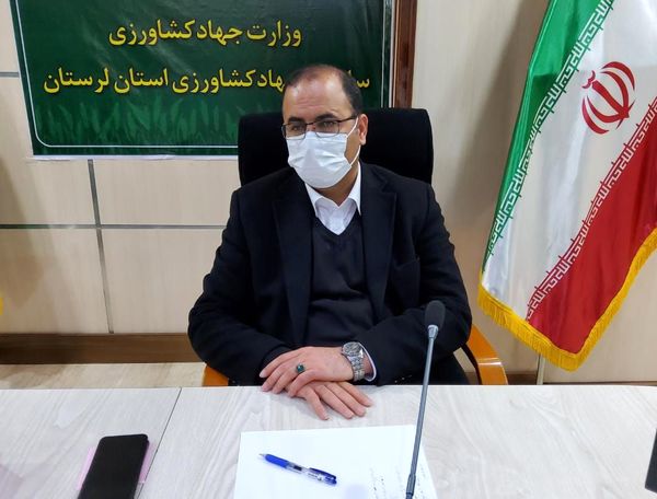  کاشت ۴۷۶ هکتار باغات در اراضی شیبدار و کم بازده در لرستان