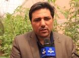 برنامه‌ریزی برای افزایش سالانه ۲.۵ درصد تولید در محصولات کشاورزی
