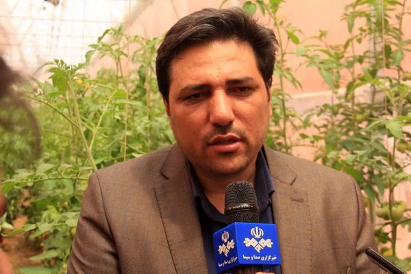 برنامه‌ریزی برای افزایش سالانه ۲.۵ درصد تولید در محصولات کشاورزی