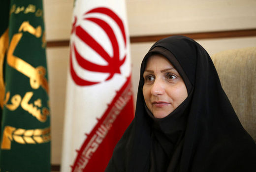 خرید گندم در استان قزوین از مرز 200 هزار تن گذشت 