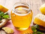 نظارت بر تولید، بسته‌بندی و عرضه عسل از وظایف قانونی سازمان دامپزشکی است