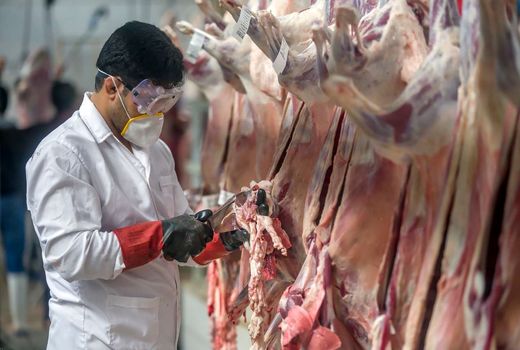 تولید ۴۳۳ هزار تن انواع فرآورده‌های دامی در استان یزد