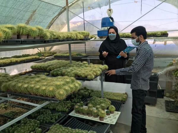 تخصیص ۶۸۰۰ میلیون ریال تسهیلات مشاغل خانگی در شهرستان سامان