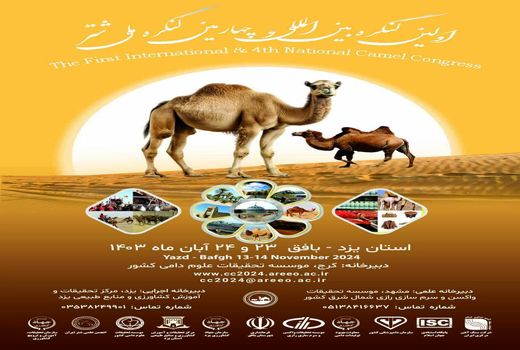 شهرستان بافق؛ میزبان اولین کنگره بین‌المللی شتر