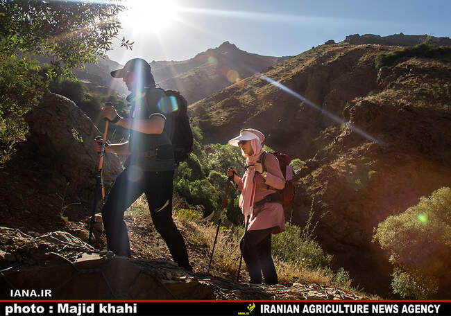 کوه پیمایی