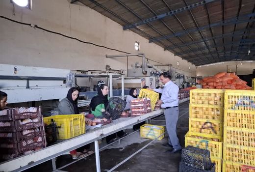 بهره برداری از 22 واحد صنایع تبدیلی و غذایی فارس