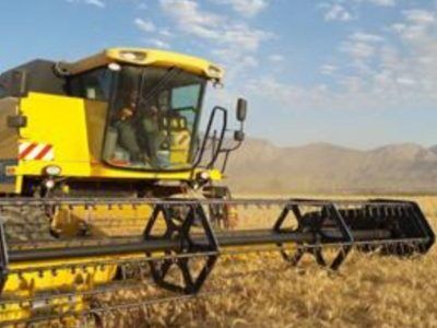 15 میلیارد ریال اعتبار برای دیمزارهای زرین دشت