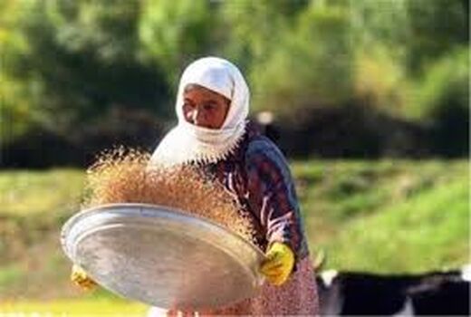 تشکیل 9 صندوق اعتباری خرد زنان روستایی در شهرستان اردبیل