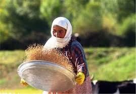 تشکیل 9 صندوق اعتباری خرد زنان روستایی در شهرستان اردبیل