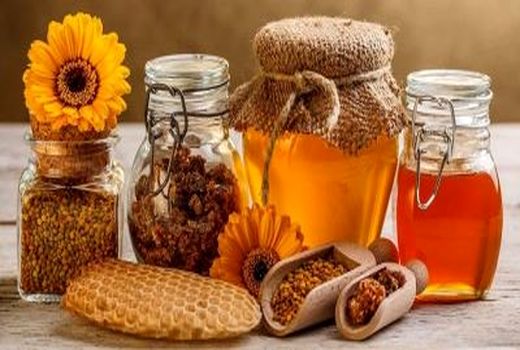 تولید بیش از 1800 تن عسل در کردستان