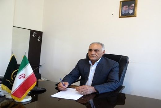 آغاز عرضه بدون محدودیت مرغ منجمد در فارس