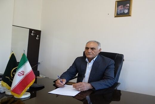 آغاز عرضه بدون محدودیت مرغ منجمد در فارس