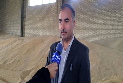 خرید تضمینی ۲۸۲ هزار تن گندم از زارعین آذربایجان‌غربی/ پیش بینی تولید ۷۰۰ هزار تن گندم