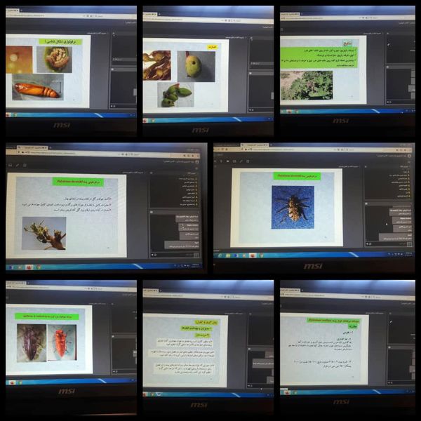 آموزش مجازی  جایگزین مناسب برای آموزش حضوری در شرایط همه گیری کووید 19