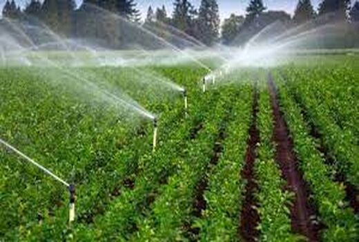 مطالعه توسعه طرح‌های سیستم آبیاری نوین در بیش از 6 هزار هکتار از اراضی خراسان شمالی