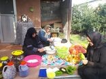تشکیل ۹صندوق اعتباری خرد زنان روستایی در سال ۹۸
