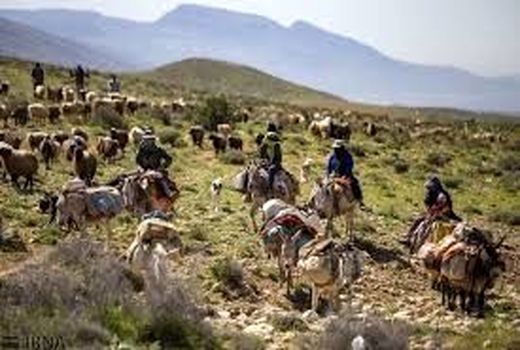 کوچ بهاره عشایر خراسان شمالی از مناطق قشلاقی به ییلاقات در حال انجام است