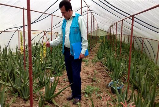 اجرای طرح گلخانه‌های کوچک مقیاس درشهرستان املش
