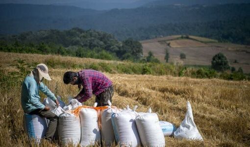 تغییر ریل تعاون روستایی به خرید توافقی؛ هدف‌گذاری ایجاد ۳ هزار روستابازار