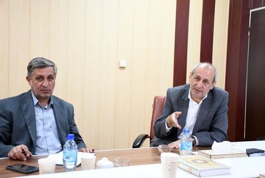 لزوم تمرکز بر مگاپروژه‌ها و زنجیره تولید در حوزه گلخانه‌ها