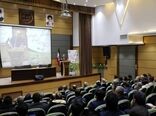 کشت 22 هزار هکتار سیب زمینی در  اراضی استان همدان