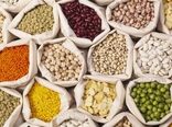 واردات 260 هزار تن حبوبات برای تنظیم بازار