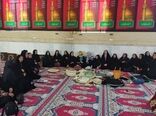 طرح ملی «زنان کار آمد روستای سرآمد» در استان بوشهر عملیاتی شد