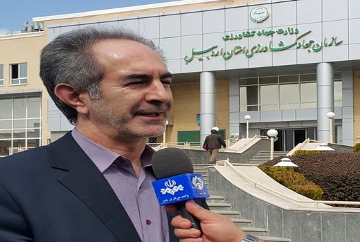 ایجاد 1700 فرصت شغلی با اجرای طرح‌های کشاورزی