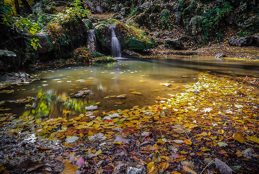 پاییز در جنگل گلستان