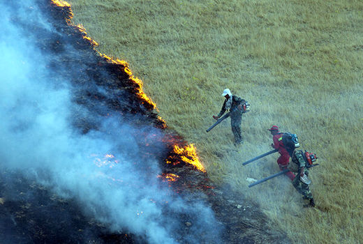 مراتع کوه برچک دشتستان همچنان می‌سوزد