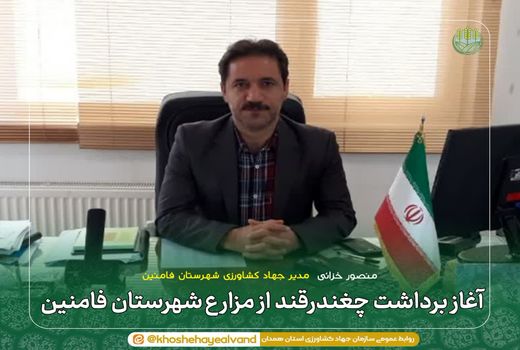 آغاز برداشت چغندرقند از مزارع شهرستان فامنین