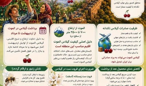 گیلاس الموت ، طعم طبیعت،  کیفیت جهانی 
