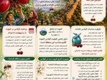  گیلاس الموت ، طعم طبیعت،  کیفیت جهانی 
