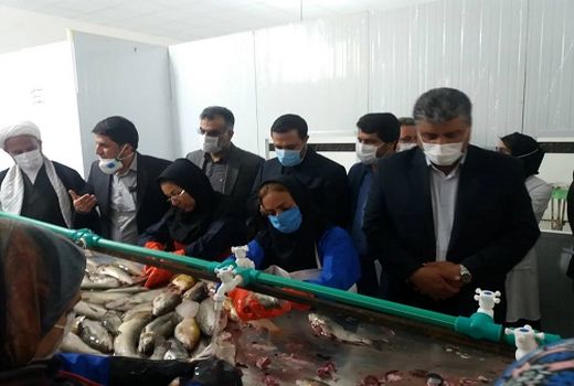 واحد فرآوری ماهی و میگو در شهرستان بیضا گشایش یافت