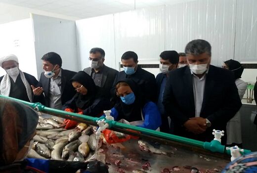واحد فرآوری ماهی و میگو در شهرستان بیضا گشایش یافت